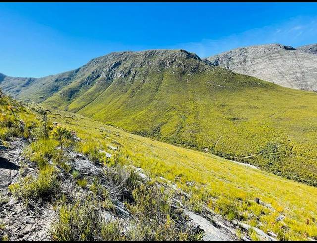 LAND FOR SALE IN TSITSIKAMMA